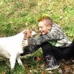 Dennis Marchiori - @dennis_marchiori - Instagram