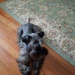 Dennis Martel - @dennis_martel_18 - Instagram