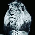 Dennis Mast - @dennis_mast - Instagram