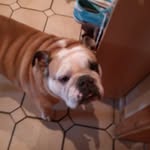 Dennis Mathias - @dennis.mathias.108 - Instagram