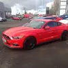 Denis Mccaffrey - @denismccaffrey - TikTok