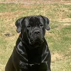 Dennis Mccray - Facebook