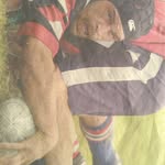 Dennis McCully Hohipa - @dennismccullyhohipa - Instagram
