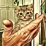 Dennis McDowell - @dennismcdowell8189 - Instagram