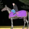 Dennis McMahon - @dennismcmahon8 - TikTok