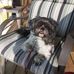 Dennis McNulty - Facebook