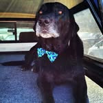 Dennis Mcnulty - @alittlelodge - Instagram