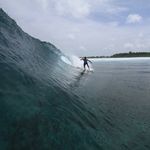 Dennis Millard - @dhmillard - Instagram