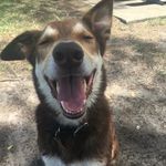 Dennis Monaghan - @dennis.monaghan - Instagram