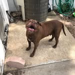 Dennis Monroe - @karmaassault - Instagram