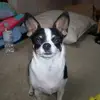 Dennis Nowak - @dennis.nowak5 - TikTok