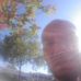 Dennis Nowakowski - Facebook