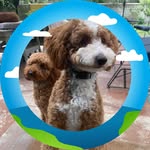 Dennis ODonnell - @dennis.odonnell.739 - Instagram