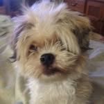 Dennis ODonnell - @dodon90714 - Instagram