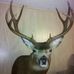 Dennis Ostrander - Facebook