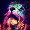 Dennis Ottens - @dennis.ottens - TikTok