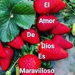 Dennis Ovando - @ovando4854 - Instagram