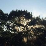 Joseph Dennis Parrish - @parrishjoseph55 - Instagram