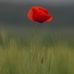 Dennis Partridge - Facebook