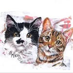 Dennis Pascal Bug - @bella_und_simba - Instagram