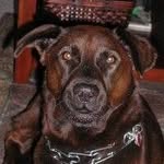 Dennis Pate - @p8.dennis - Instagram