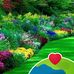 Denis Paxton - Facebook