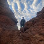 Dennis Paxton - @welcome_to_pacoville - Instagram