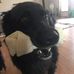 Dennis Peet - Facebook