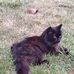 Dennis Penick - Facebook