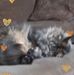 Dennis Pepi - Facebook