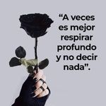 Dennis Perales Rosales - @dennisandreapr - Instagram