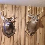 Dennis Perdue - @dennisperdue - Instagram
