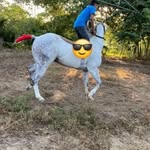 Dennis - @dennis_peres_ - Instagram