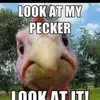 Dennis Perrin - @dennisperrin0 - TikTok