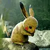 Dennisperron - @dennisperro - TikTok