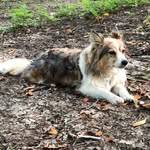 Dennis Perry - @dennisperry382 - Instagram