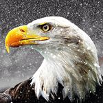 Dennis Persaud - @dennis.persaud2018 - Instagram