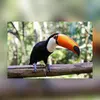 dennispersaud - @dennispersaud7 - TikTok