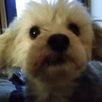 Dennis Petermann - @dennispetermann - Instagram