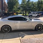 Dennis Petri - @dennis.petri.165 - Instagram