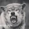 Денис Петрик597 - @denispetrick - TikTok