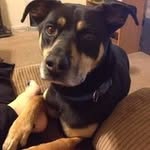 Dennis Peyton - @dennispeyton5 - Instagram