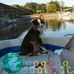 Dennis Peyton - Facebook