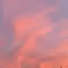 Peyton Dennis - @peytondennis2 - TikTok