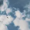 Dennis Pfau - @dennis.051 - TikTok
