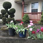 Dzung Dennis Pham - Facebook
