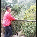 Dennis Phang - @dp8797 - Instagram