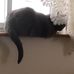 Dennis Piccoli - Facebook