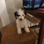 Dennis C Pickard - @dcp456 - Instagram