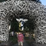 Dennis Pickle - @dennispickle - Instagram